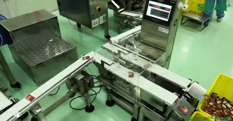 西泰克雙列皮帶秤檢測(cè)藥包重量 檢重視頻 